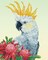 Diamond Dotz White Cockatoo & Warathas Bird Diamond Painting Kits for Adults - Diamond Art Kits a Relaxing Creative Craft Kit with Dotz Gems 16x20